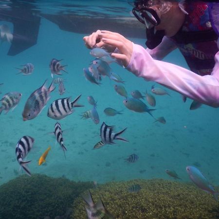 ゲストハウス備瀬の海 Экстерьер фото