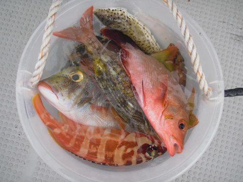 ゲストハウス備瀬の海 Экстерьер фото