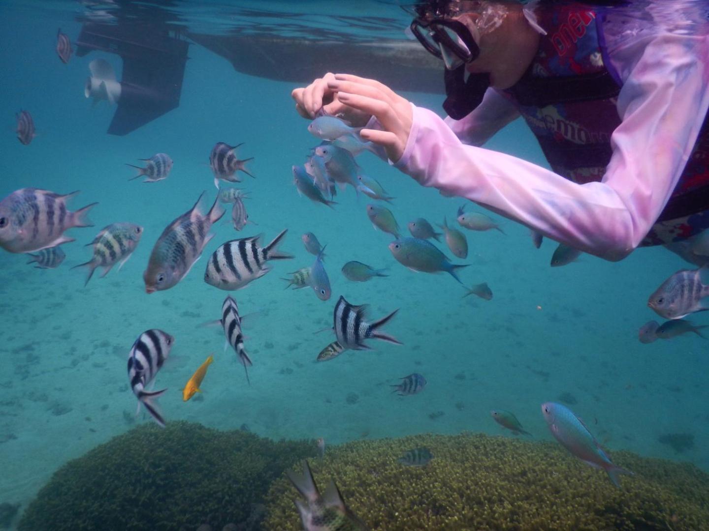 ゲストハウス備瀬の海 Экстерьер фото